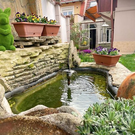 Apartament Csobogo Vendeghaz Eger Zewnętrze zdjęcie
